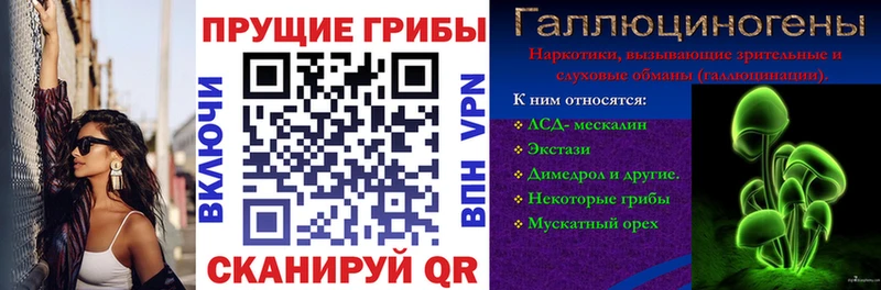 Галлюциногенные грибы GOLDEN TEACHER Томск