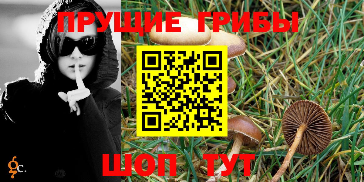 Галлюциногенные грибы GOLDEN TEACHER  купить  сайты  Томск 