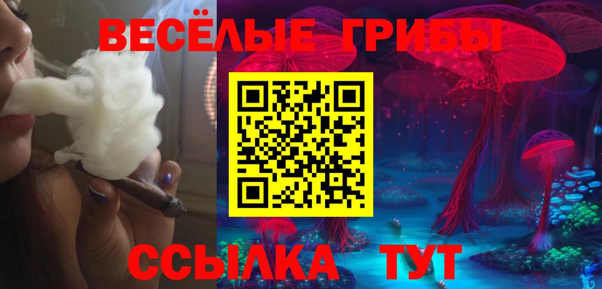 как найти закладки  Вход с VPN  Галлюциногенные грибы прущие грибы  Томск  Псилоцибиновые грибы прущие грибы 